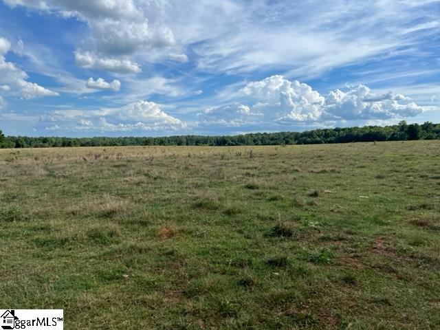 1324 Easy Road Laurens, SC 29360 - Photo 3 of 23