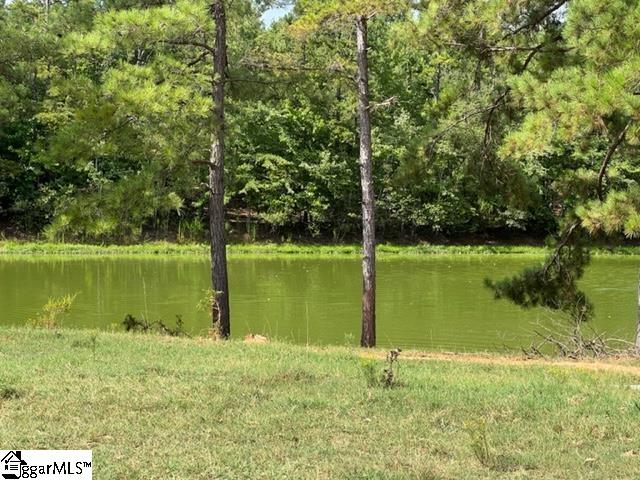 1324 Easy Road Laurens, SC 29360 - Photo 5 of 23