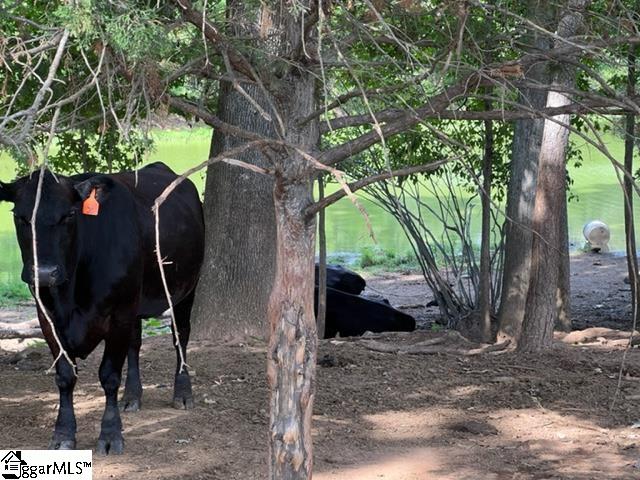 1324 Easy Road Laurens, SC 29360 - Photo 6 of 23