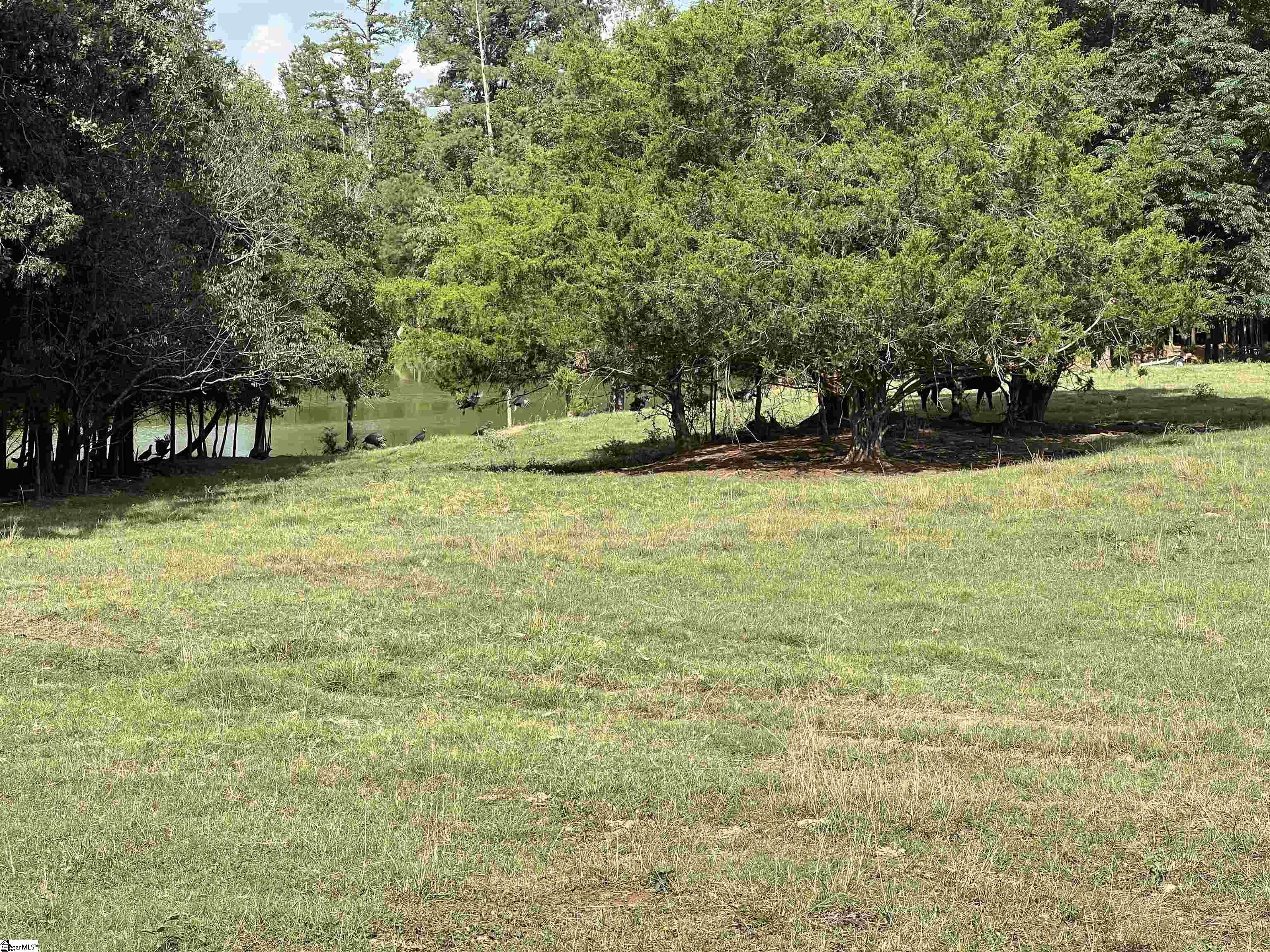 1324 Easy Road Laurens, SC 29360 - Photo 7 of 23