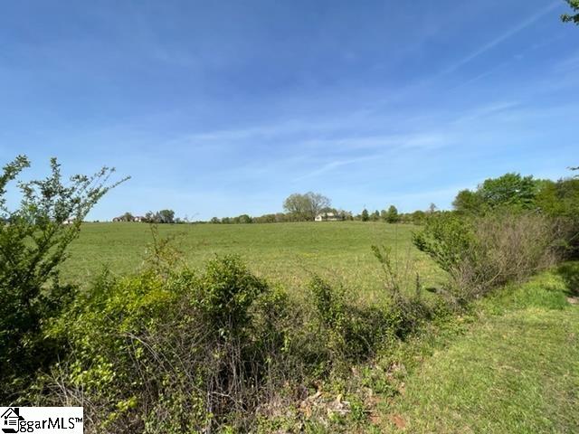 1324 Easy Road Laurens, SC 29360 - Photo 8 of 23