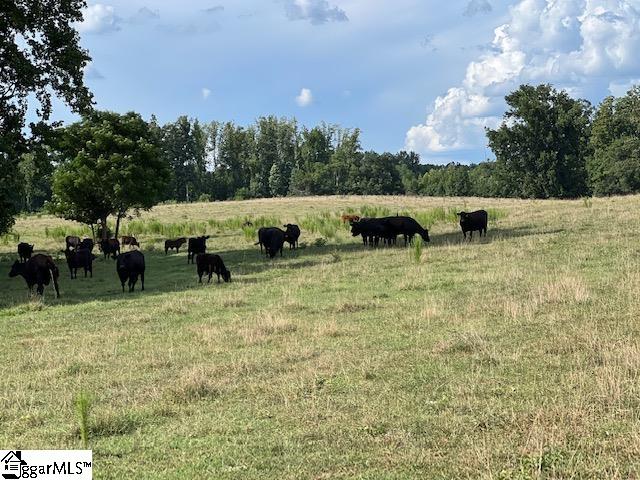 1324 Easy Road Laurens, SC 29360 - Photo 9 of 23