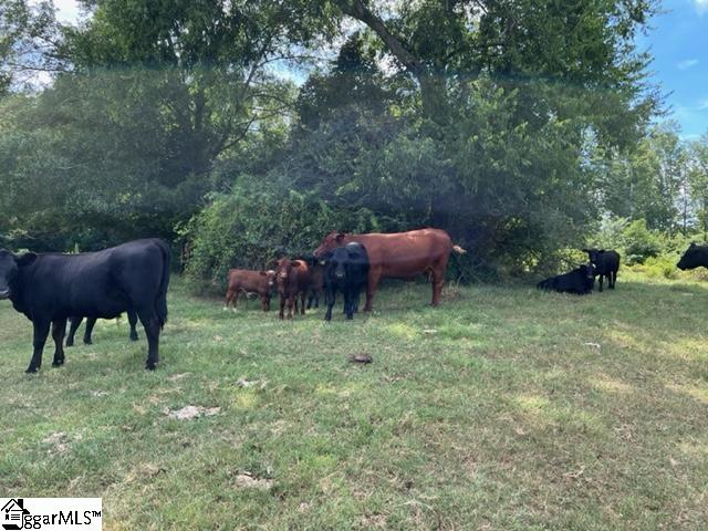 1324 Easy Road Laurens, SC 29360 - Photo 10 of 23