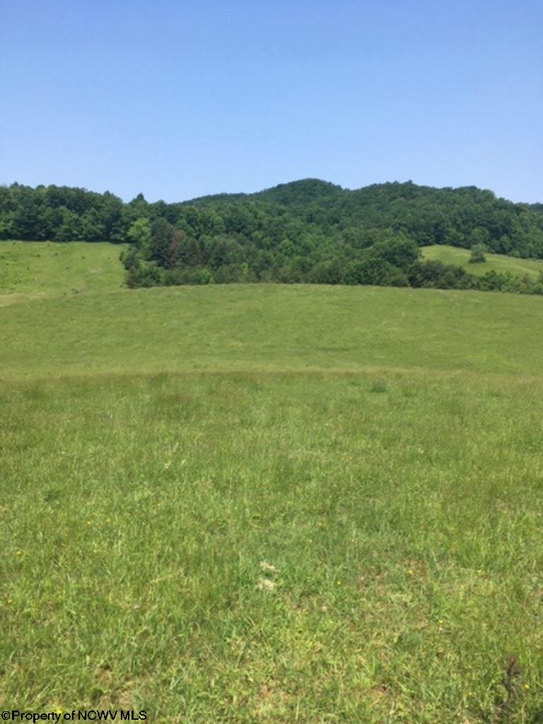 1 Gilman Road Elkins, WV 26241 - Photo 7 of 15 Gallery Image 7