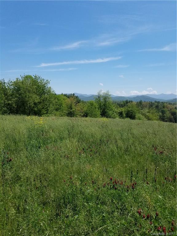 0 Parkway View Road Mars Hill, NC 28754 - Photo 3 of 9
