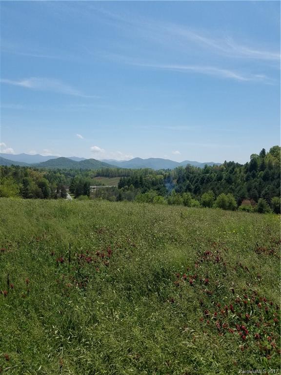 0 Parkway View Road Mars Hill, NC 28754 - Photo 4 of 9