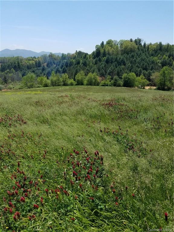 0 Parkway View Road Mars Hill, NC 28754 - Photo 7 of 9