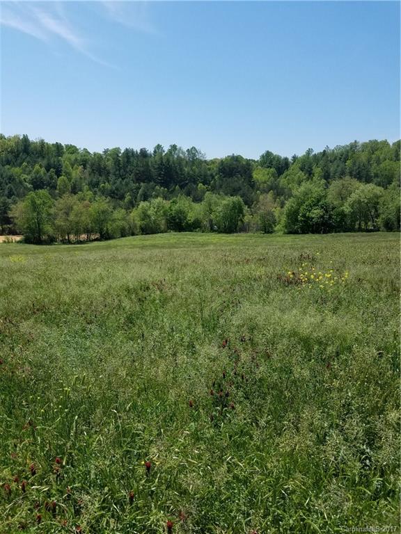 0 Parkway View Road Mars Hill, NC 28754 - Photo 8 of 9