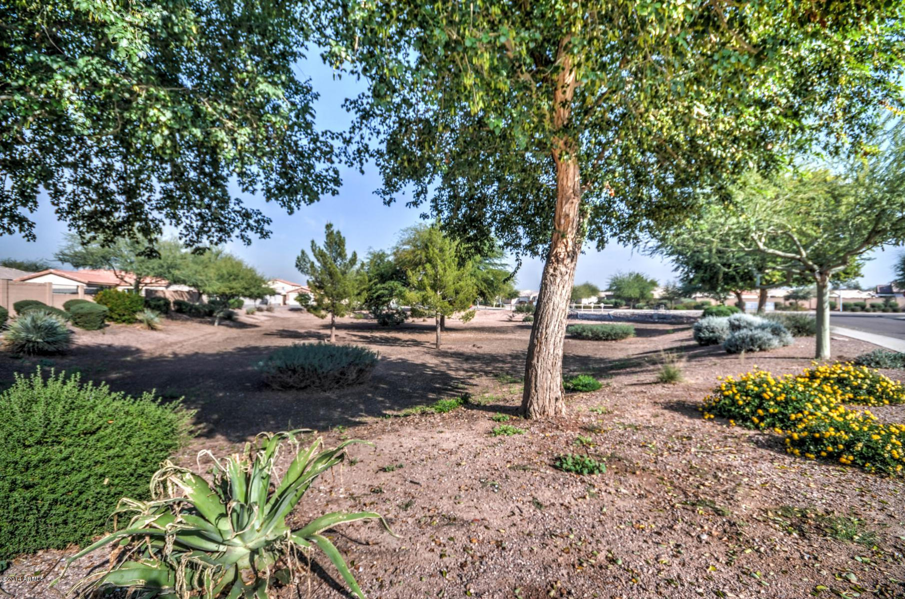 6413 West Riva Road Phoenix, AZ 85043 - Photo 40 of 42 Community 1