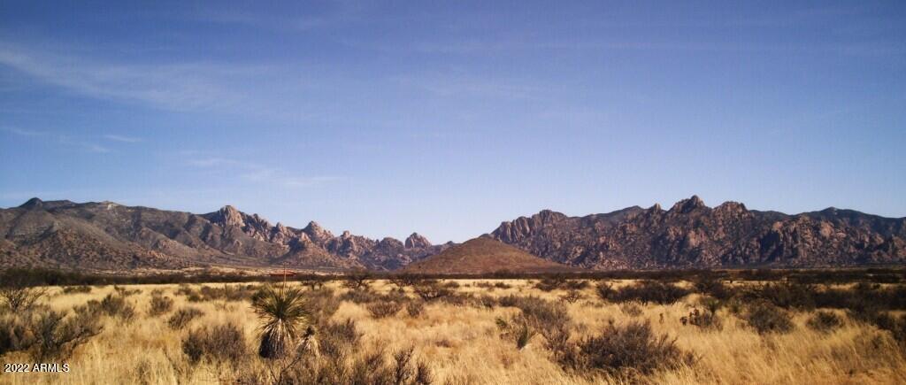 BEST WIDE MNT