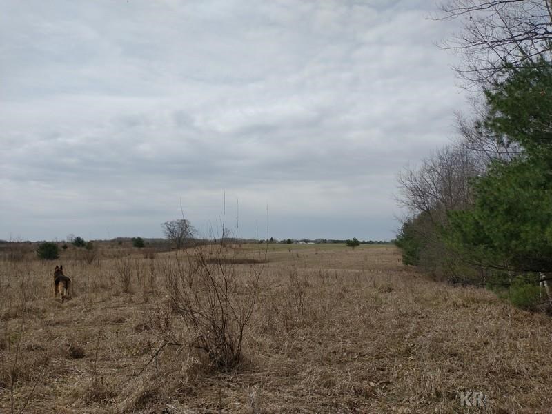 50-acres Sugar River Road Gladwin, MI 48624 - Photo 24 of 29