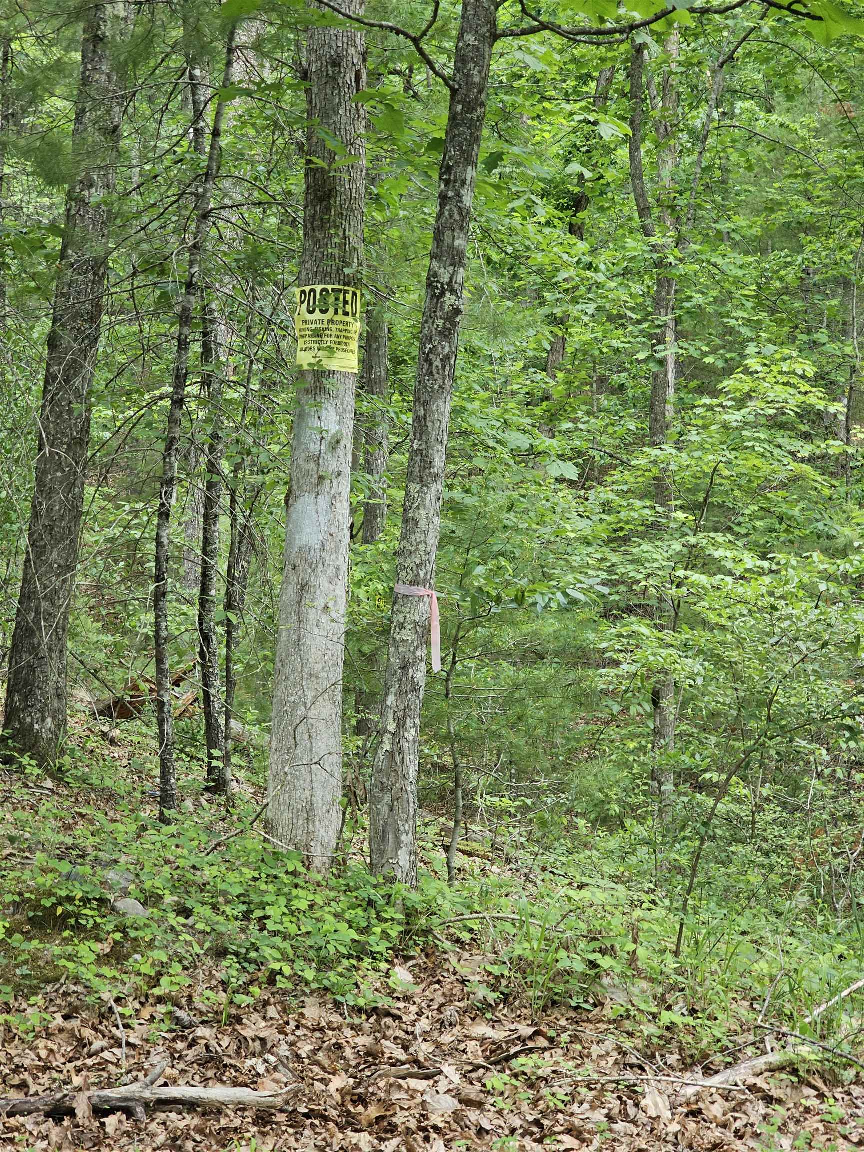 2105 Coles Mountain Road Covington, VA 24426 - Photo 58 of 66