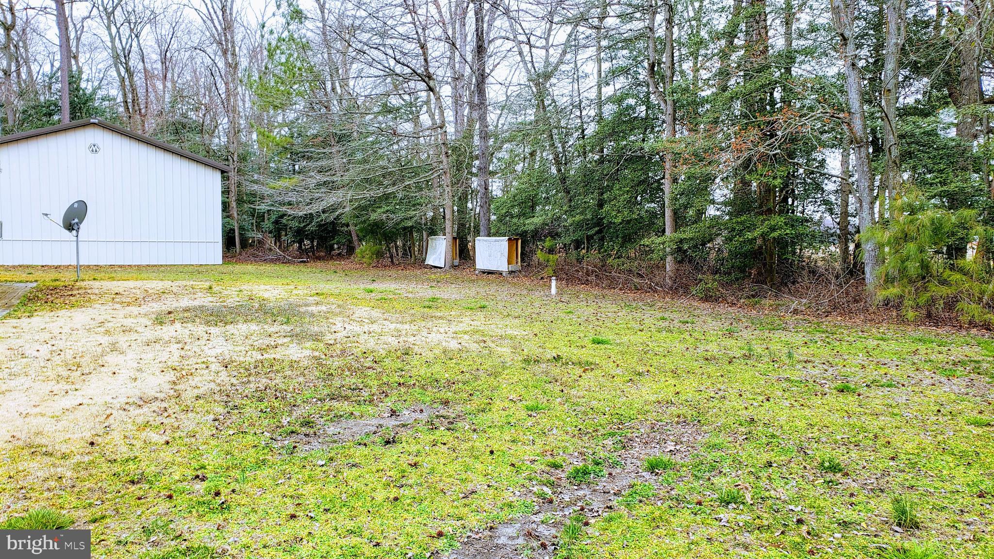 6154 Galestown - Reliance Road Rhodesdale, MD 21659 - Photo 45 of 51