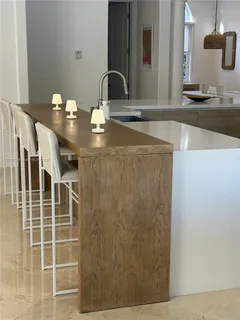 a kitchen with a sink and a potted plant