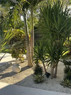 a view of a backyard of the house