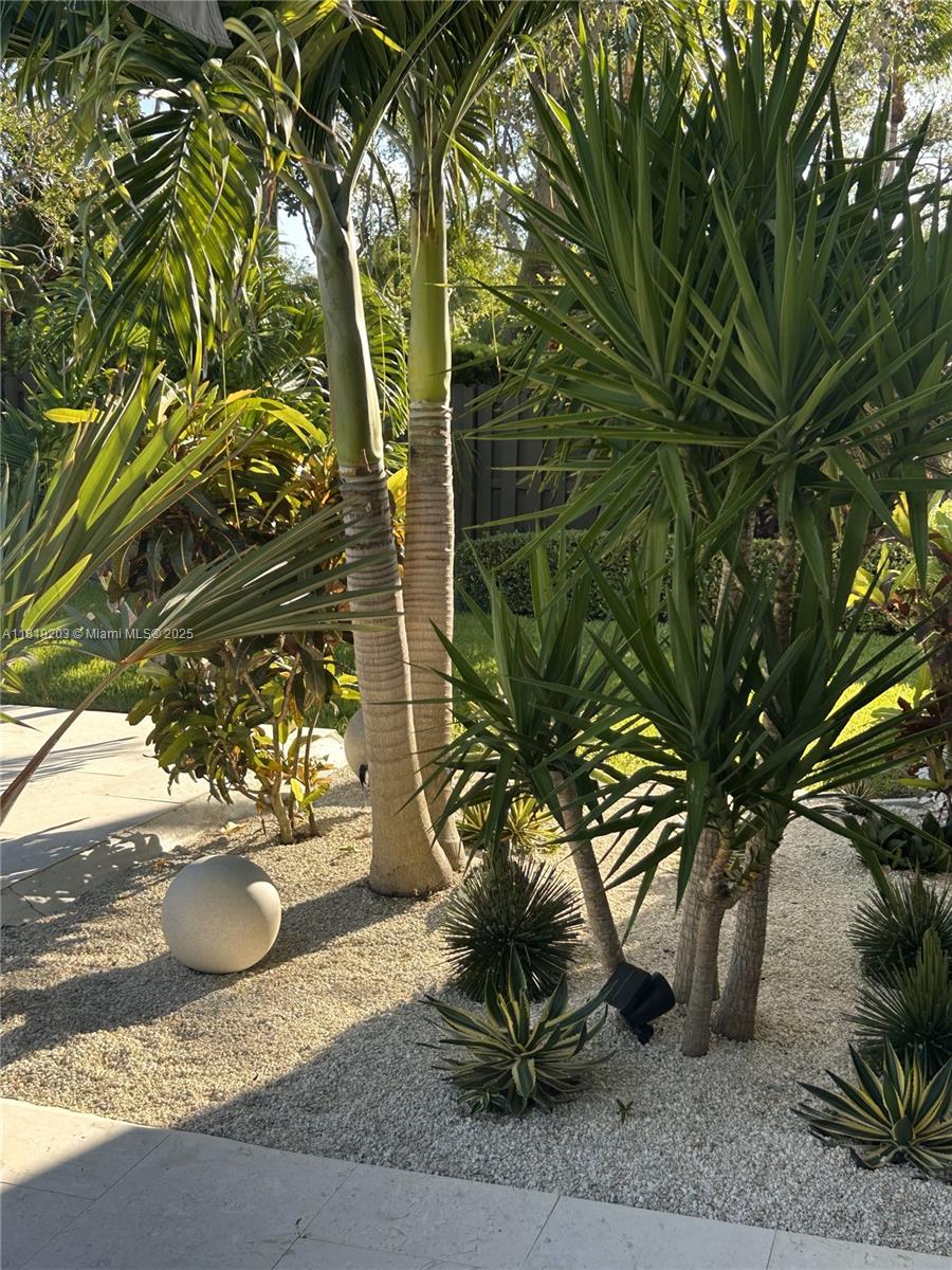 9532 Southwest 124th Terrace Miami, FL 33176 - Photo 28 of 30 a view of a backyard of the house