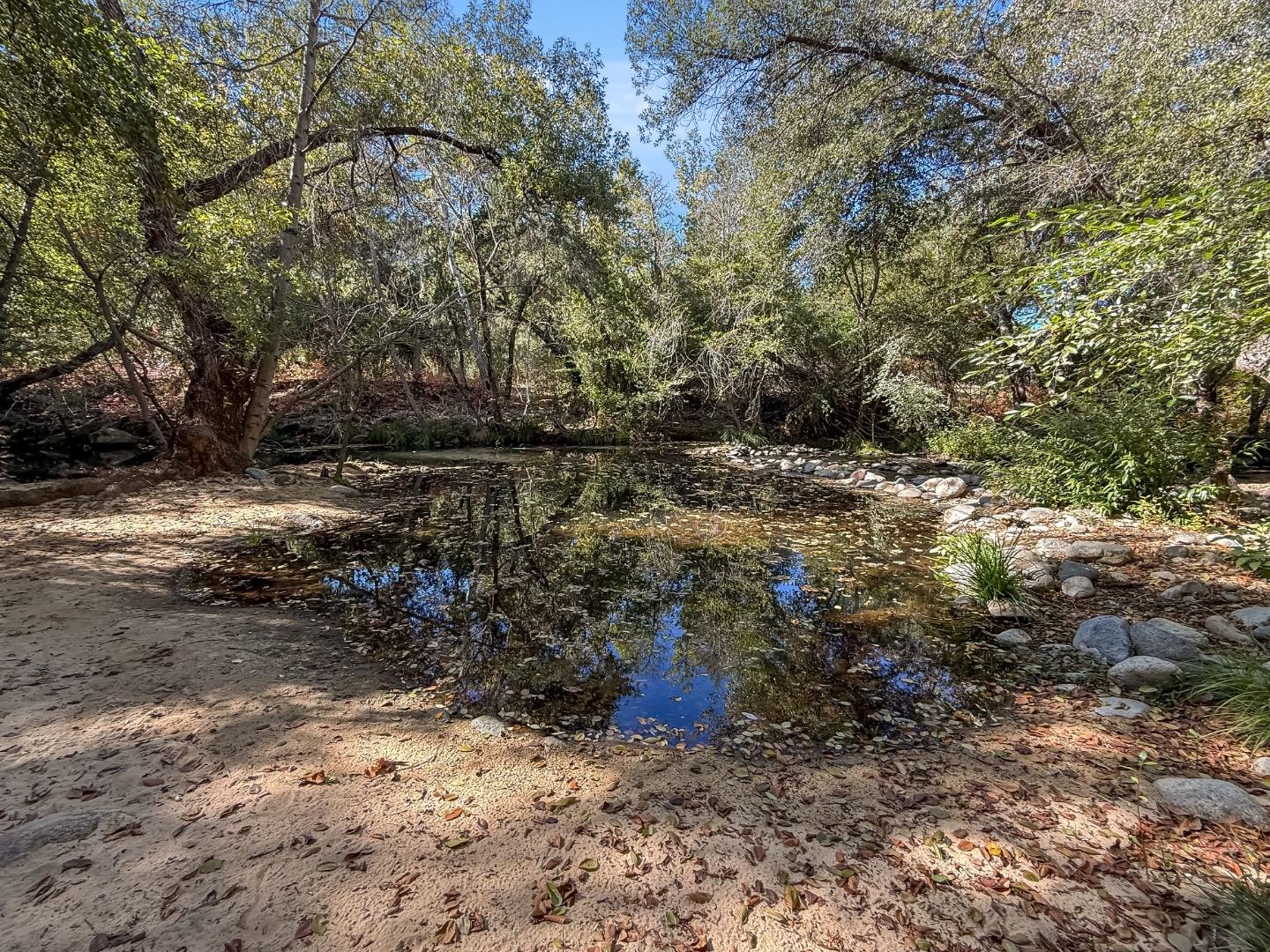 37200 Nason Road, Unit 18 Carmel Valley, CA 93924 - Photo 43 of 71 a view of a dirt road with trees