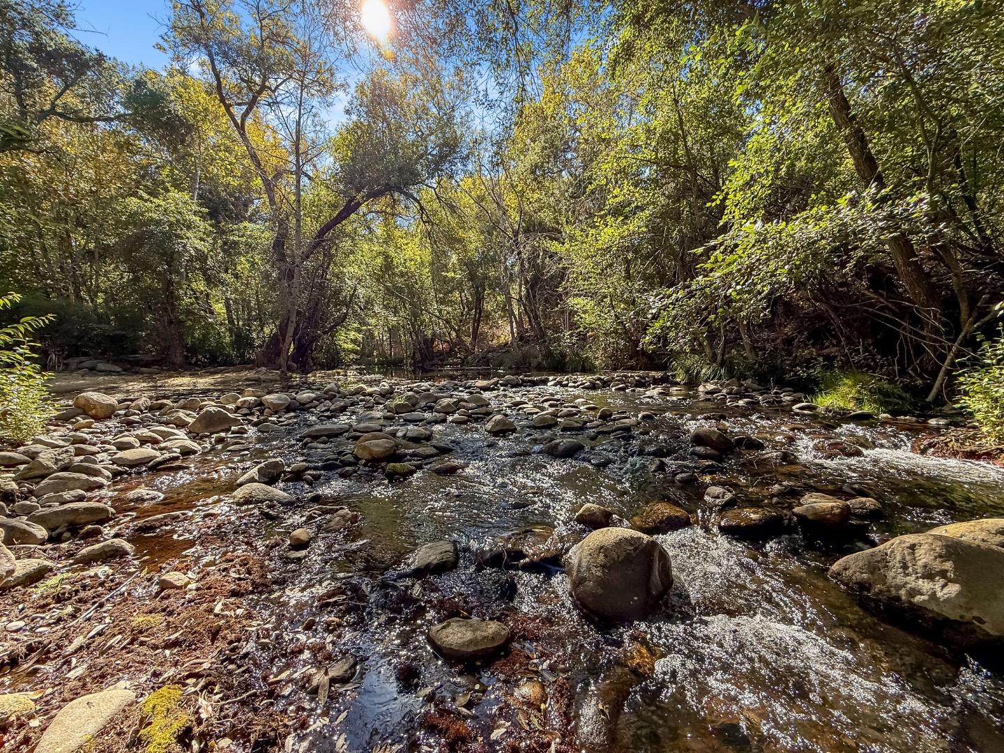 37200 Nason Road, Unit 18 Carmel Valley, CA 93924 - Photo 45 of 71 a backyard of a house with lots of green space