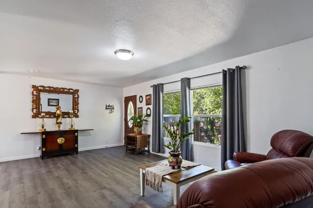 a living room with furniture and a potted plant