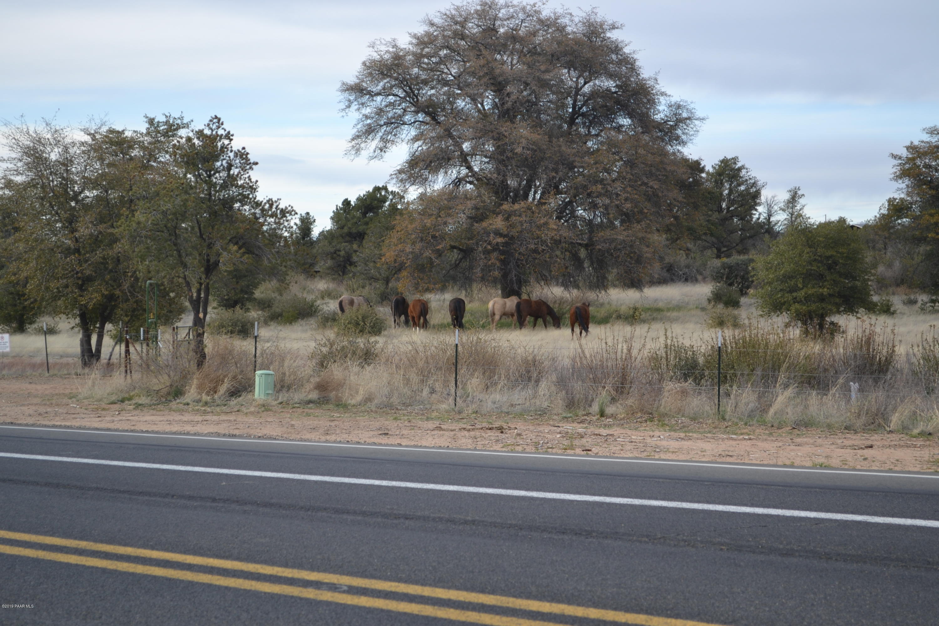 C1 West Stazenski Road Prescott, AZ 86305 - Photo 13 of 13 DSC_0285