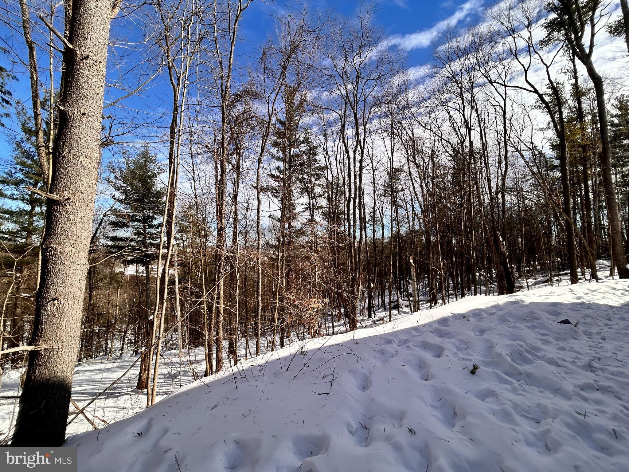 1311 Westover Road Westover, PA 16692 - Photo 19 of 30