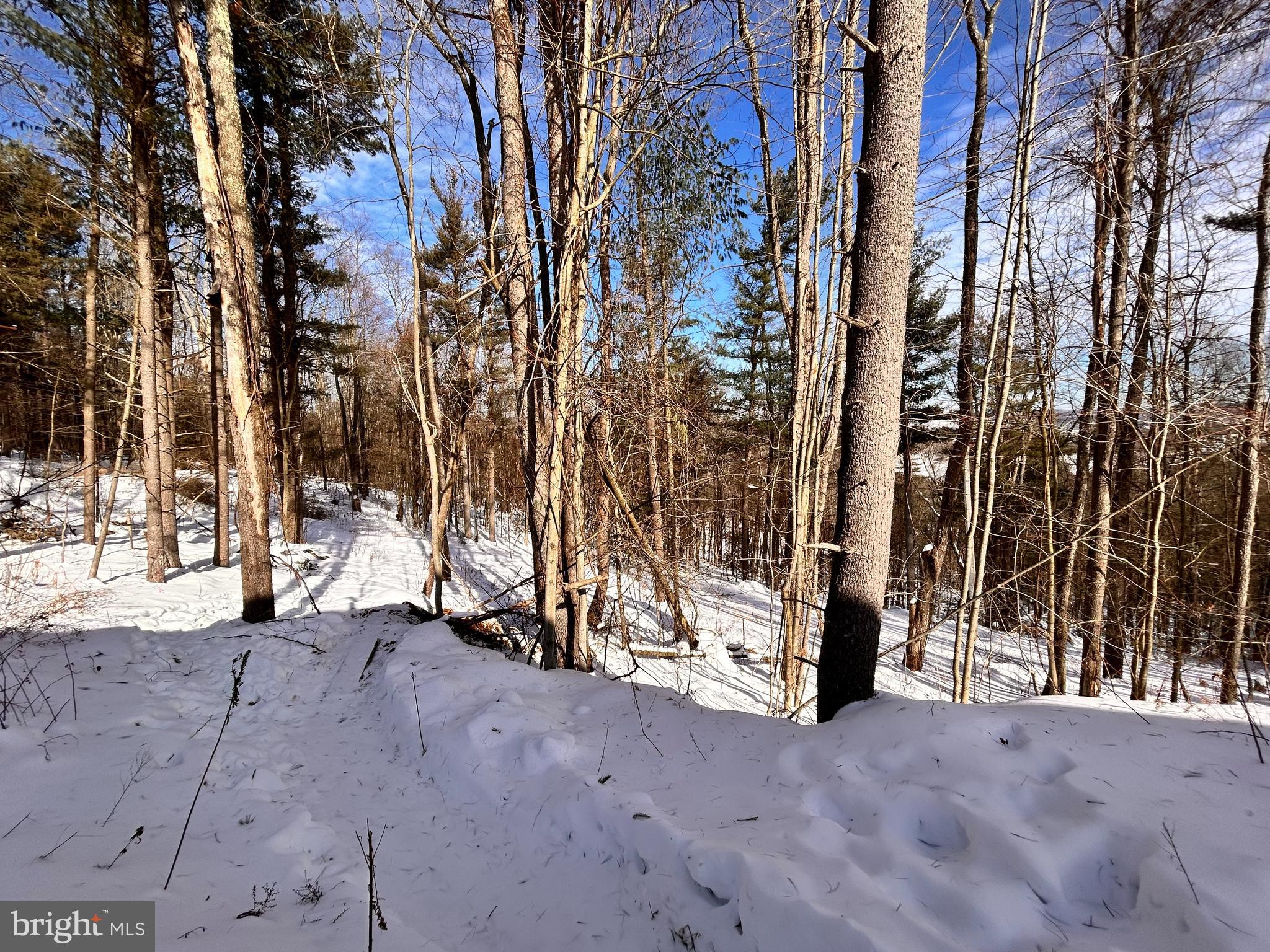 1311 Westover Road Westover, PA 16692 - Photo 20 of 30