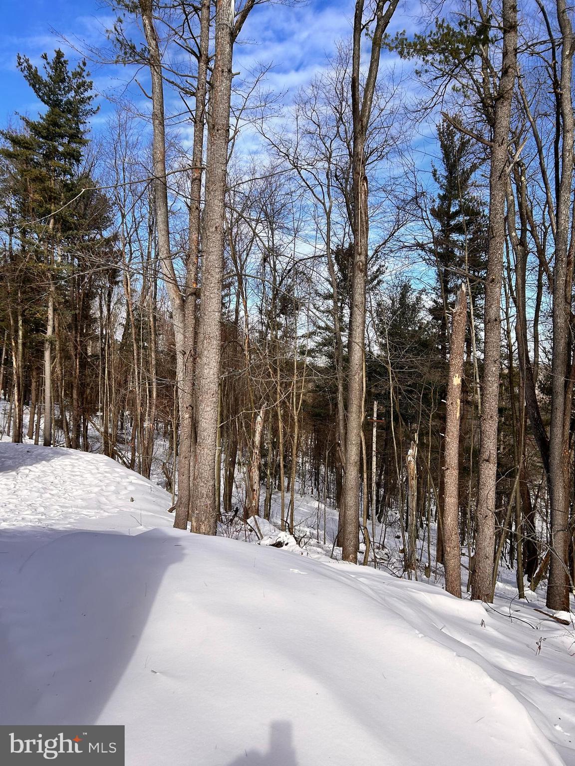 1311 Westover Road Westover, PA 16692 - Photo 27 of 30