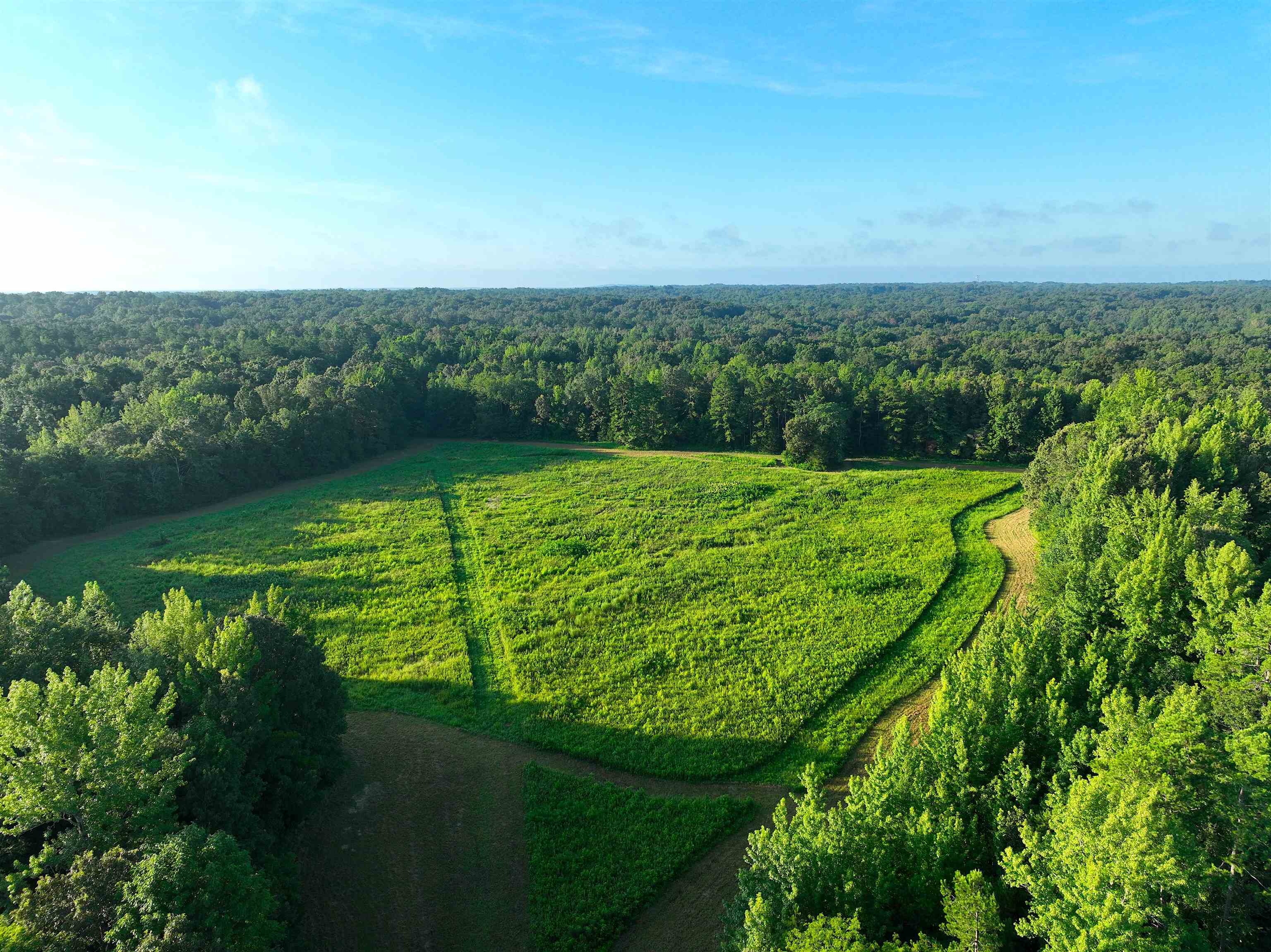 a view of a green field with lots of green space