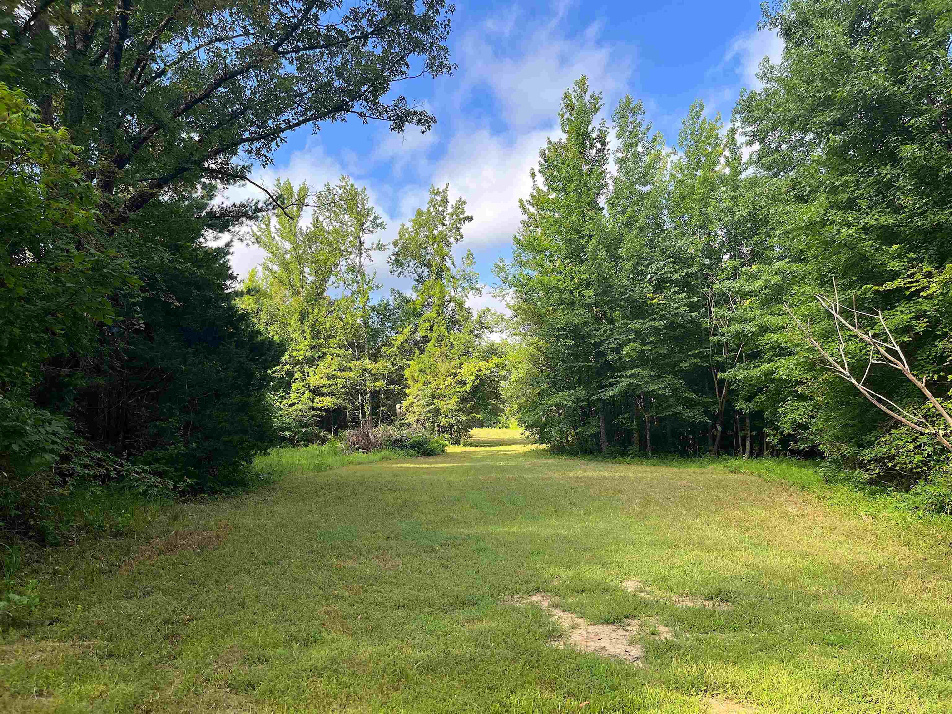 4000 West Fork Road Saulsbury, TN 38067 - Photo 11 of 30 a view of yard with green space