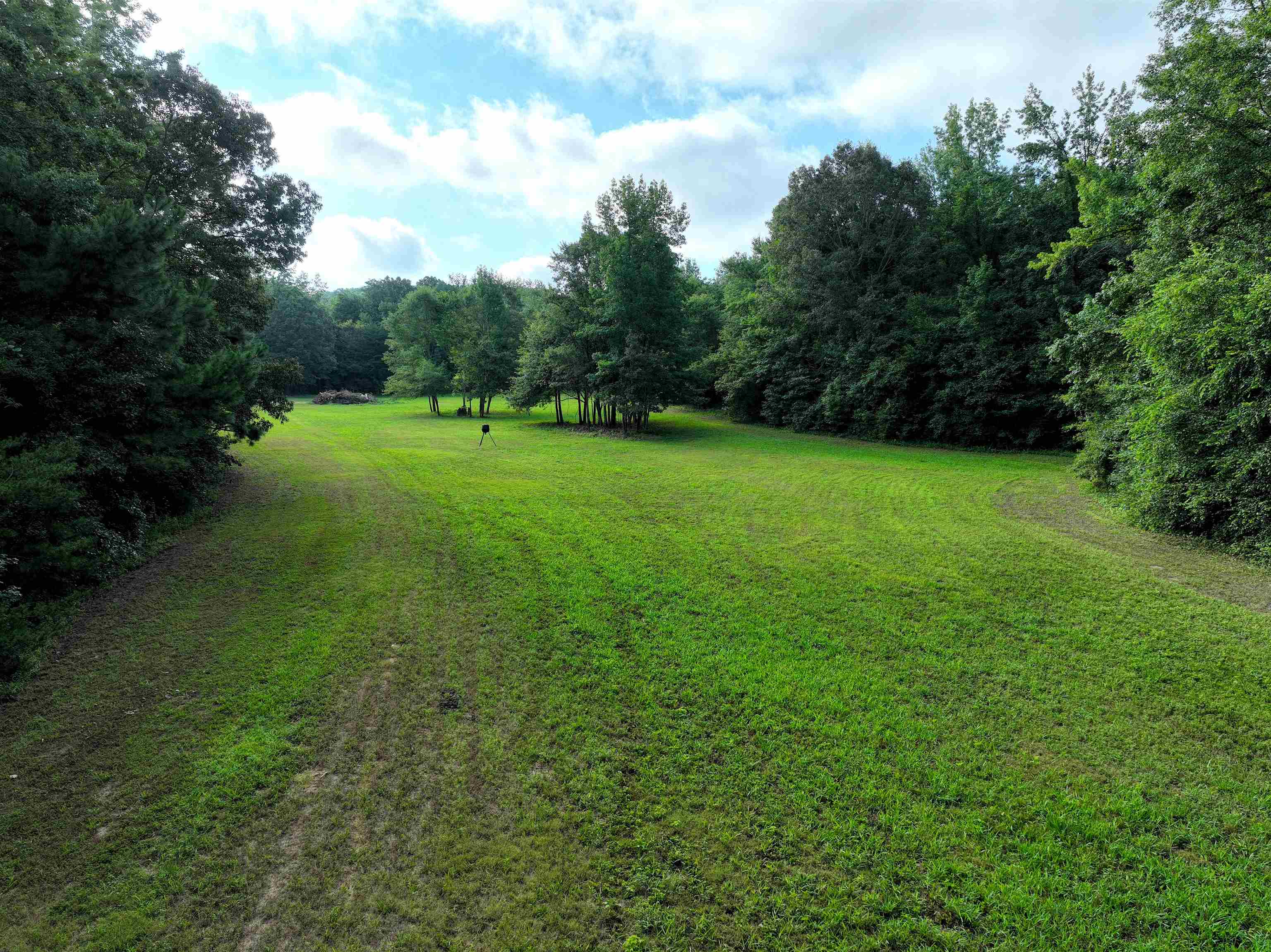 4000 West Fork Road Saulsbury, TN 38067 - Photo 12 of 30 a view of a grassy field with trees