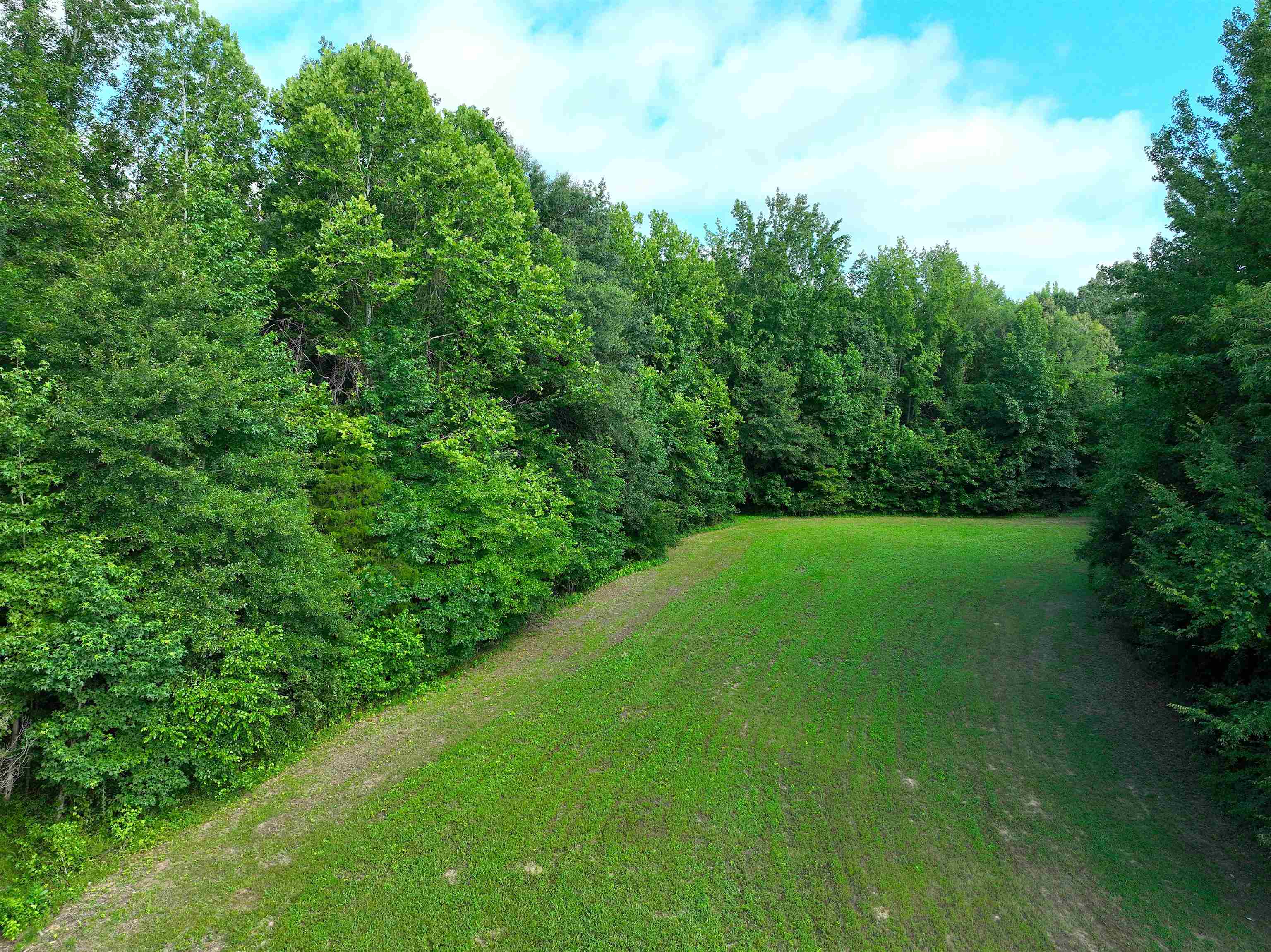 4000 West Fork Road Saulsbury, TN 38067 - Photo 13 of 30 a view of a green field with lots of bushes