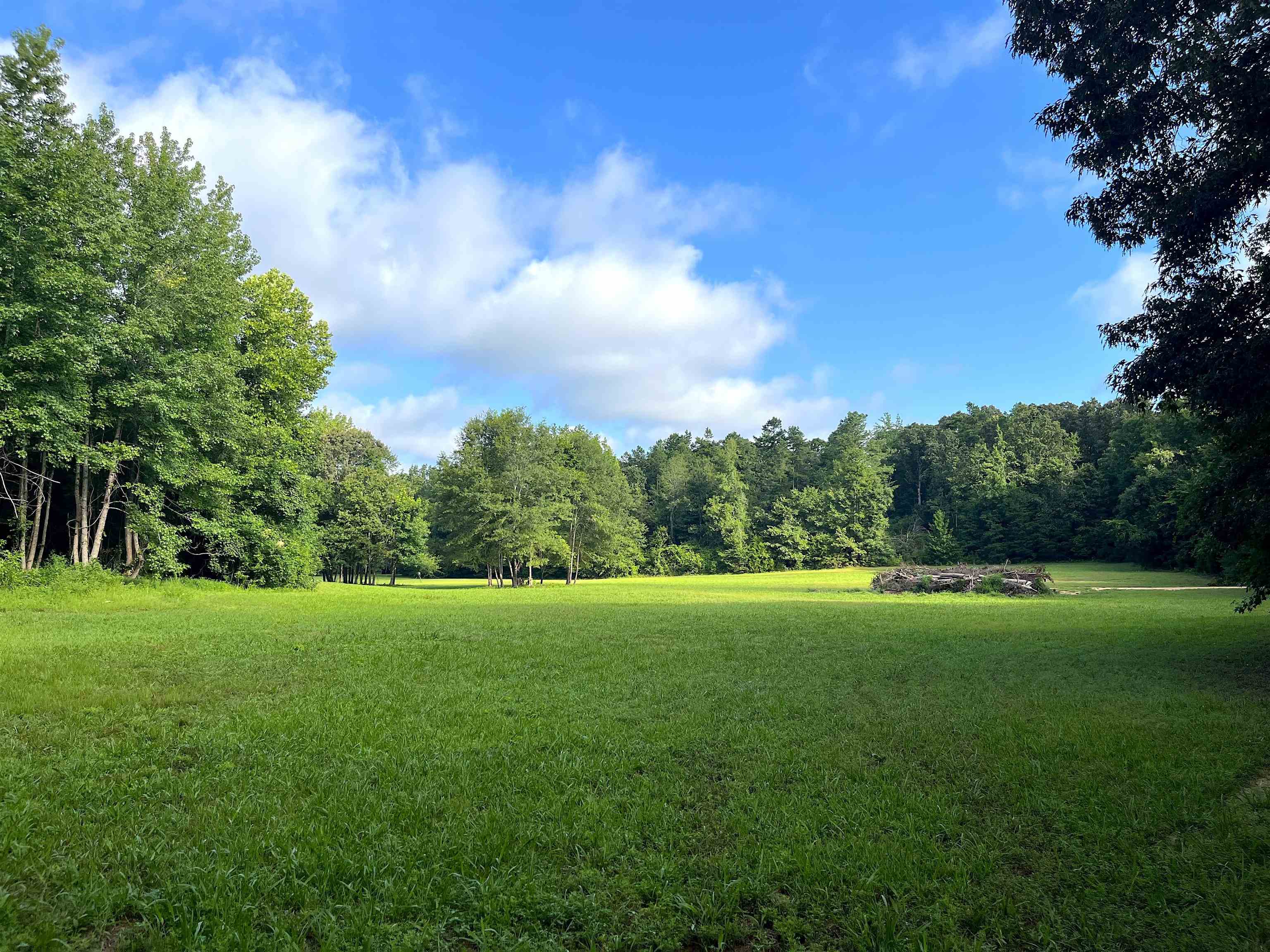 4000 West Fork Road Saulsbury, TN 38067 - Photo 16 of 30 a view of grassy field with trees in the background