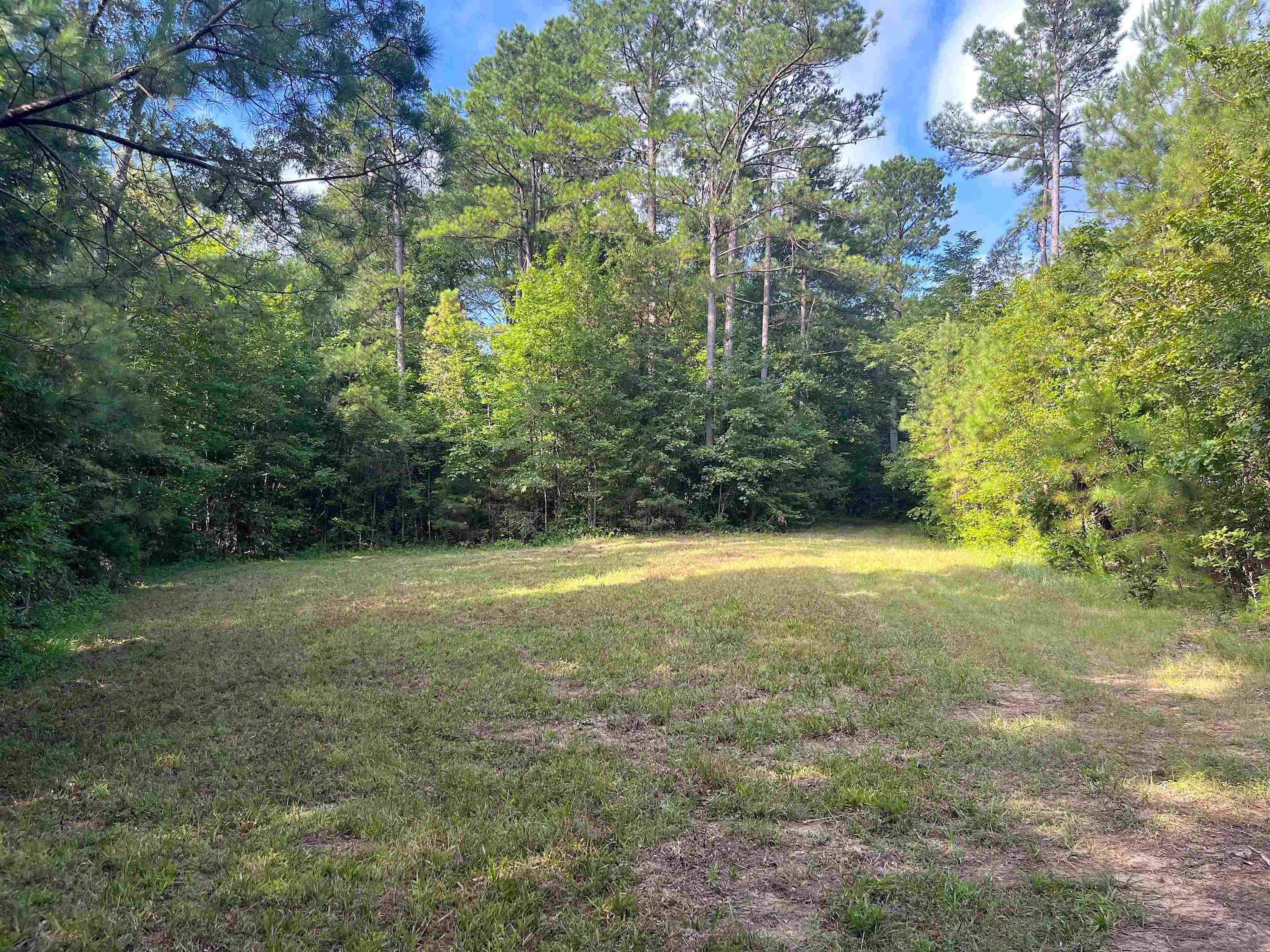 4000 West Fork Road Saulsbury, TN 38067 - Photo 17 of 30 a view of a yard with a house