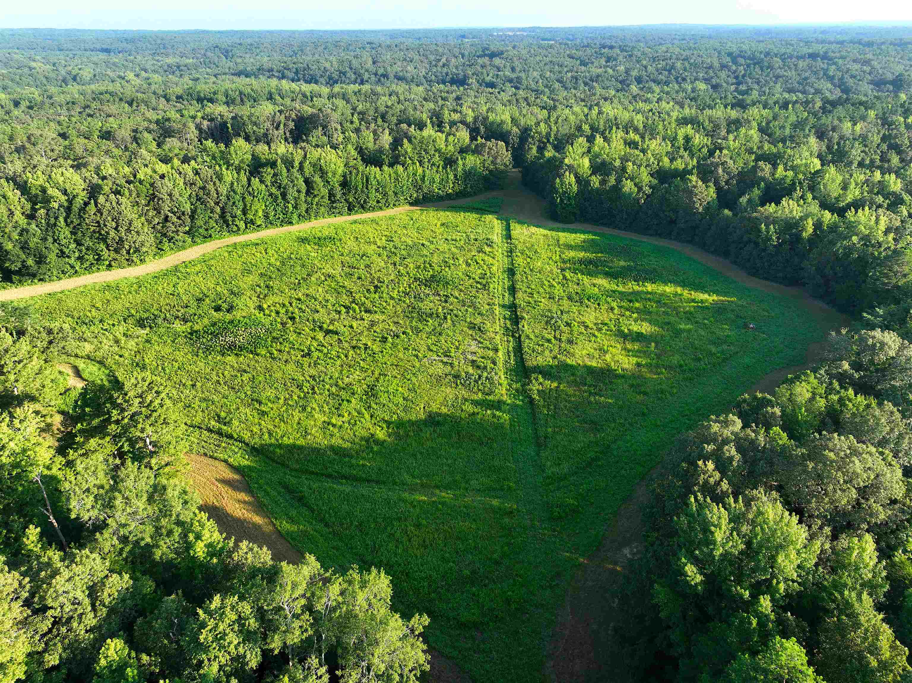 4000 West Fork Road Saulsbury, TN 38067 - Photo 19 of 30 a view of a lush green forest with a lake