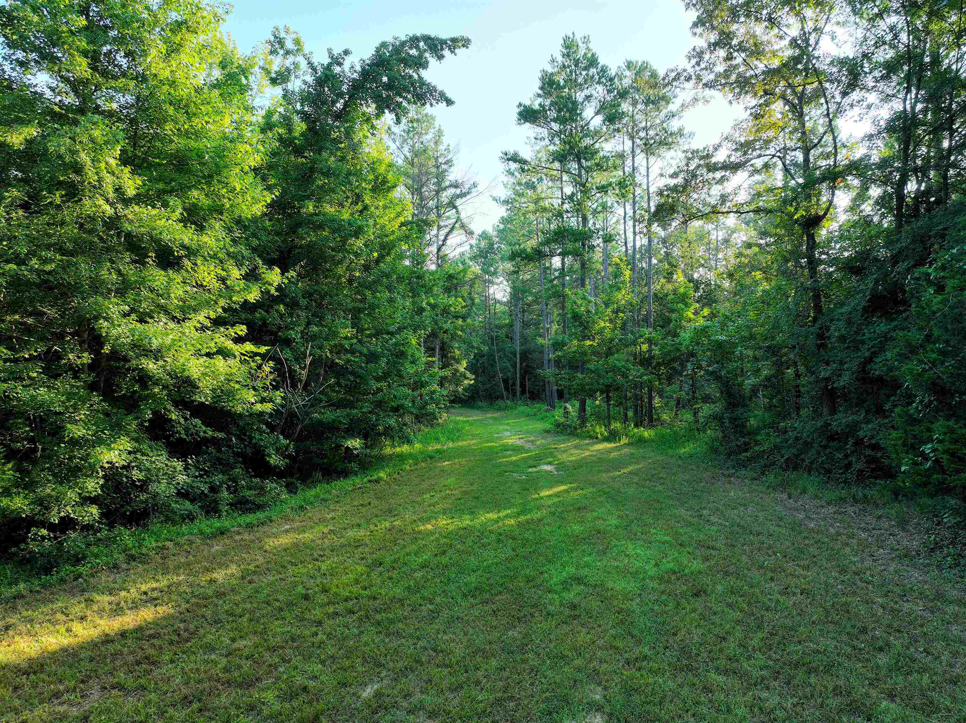 4000 West Fork Road Saulsbury, TN 38067 - Photo 20 of 30 a view of an outdoor space and a yard