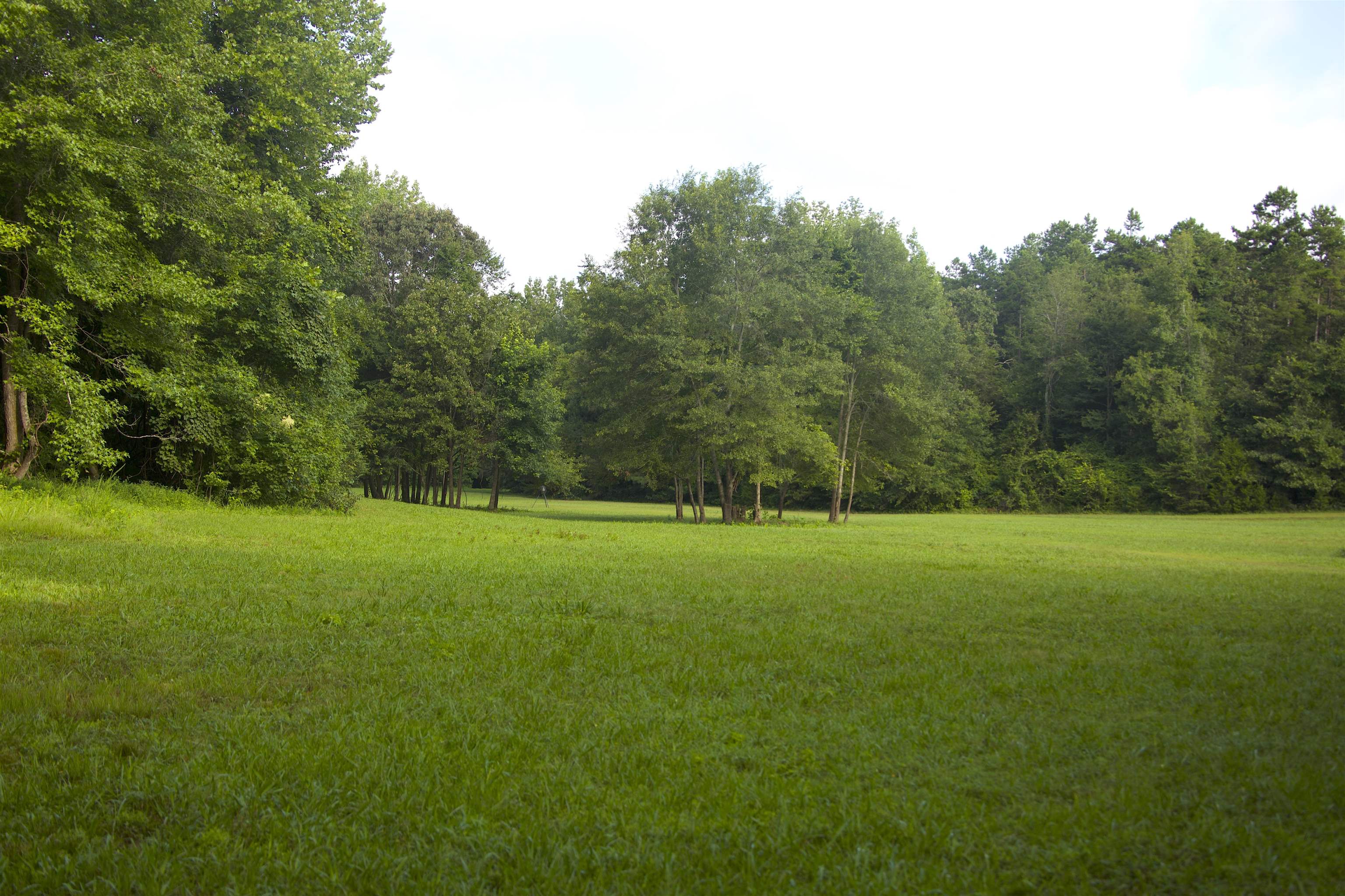 4000 West Fork Road Saulsbury, TN 38067 - Photo 27 of 30 a view of field and trees in the background