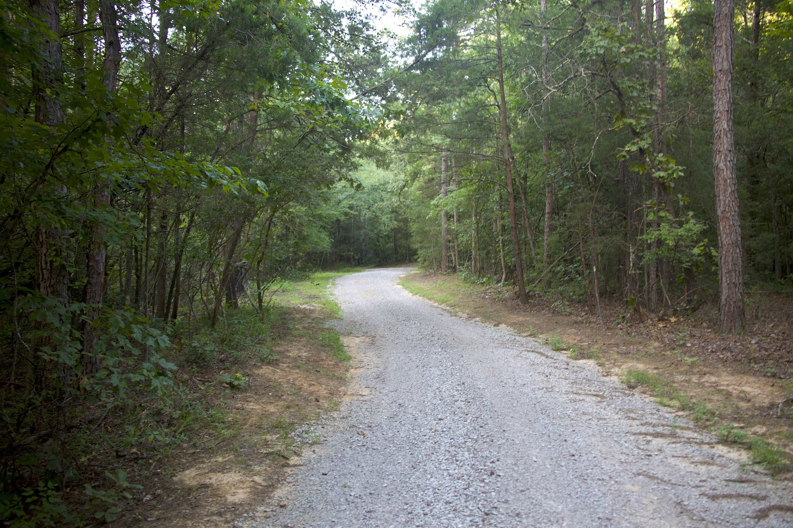 4000 West Fork Road Saulsbury, TN 38067 - Photo 28 of 30 a view of a forest with trees in the background
