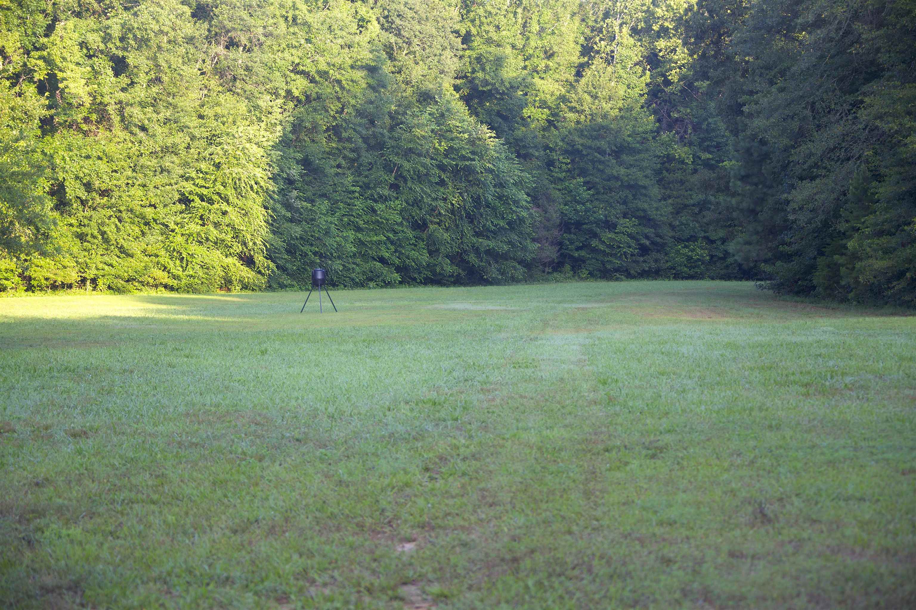4000 West Fork Road Saulsbury, TN 38067 - Photo 4 of 30 a view of field with trees in the background