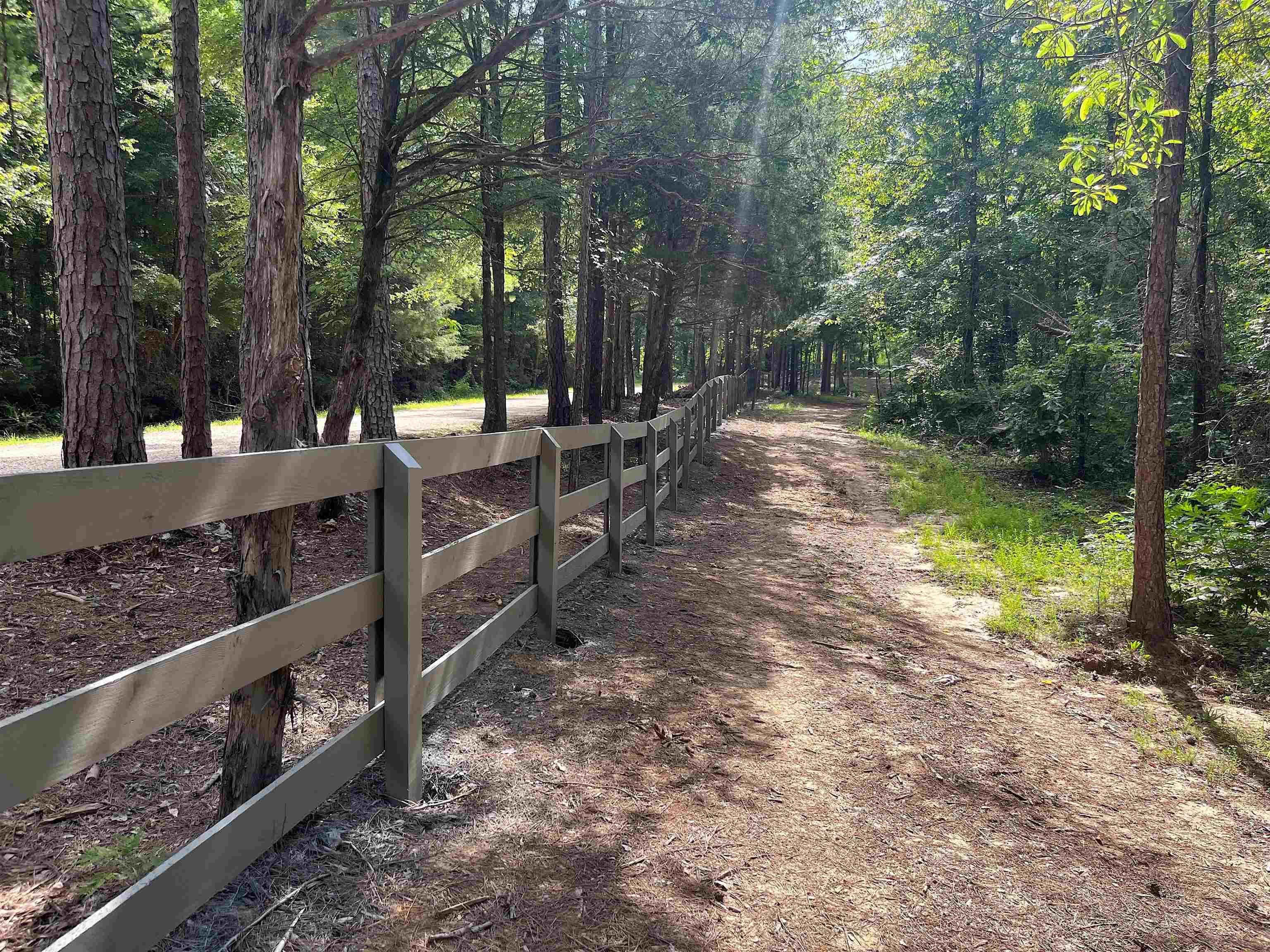 4000 West Fork Road Saulsbury, TN 38067 - Photo 5 of 30 a view of a backyard with sitting area