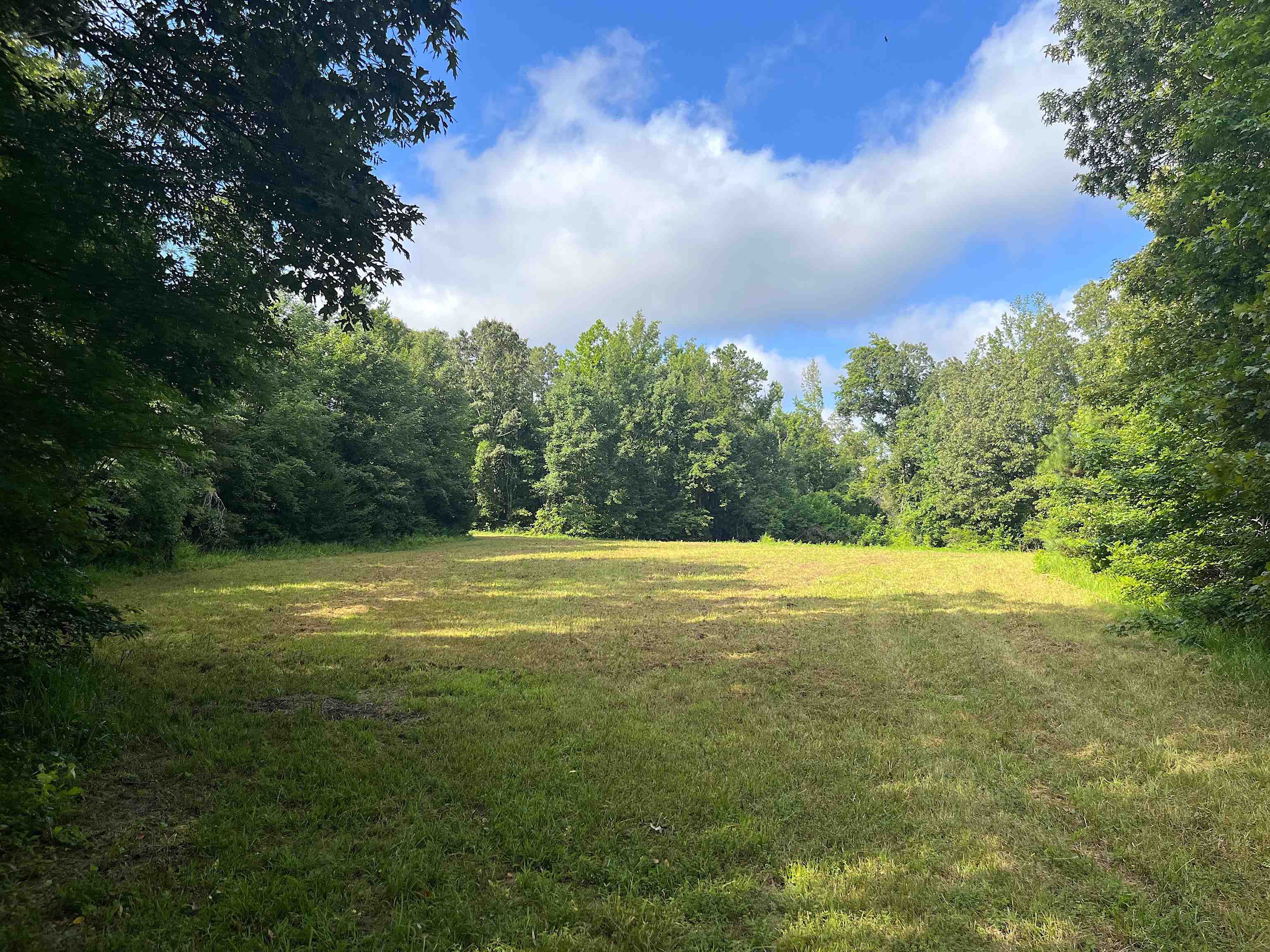 4000 West Fork Road Saulsbury, TN 38067 - Photo 8 of 30 a view of an ocean and beach
