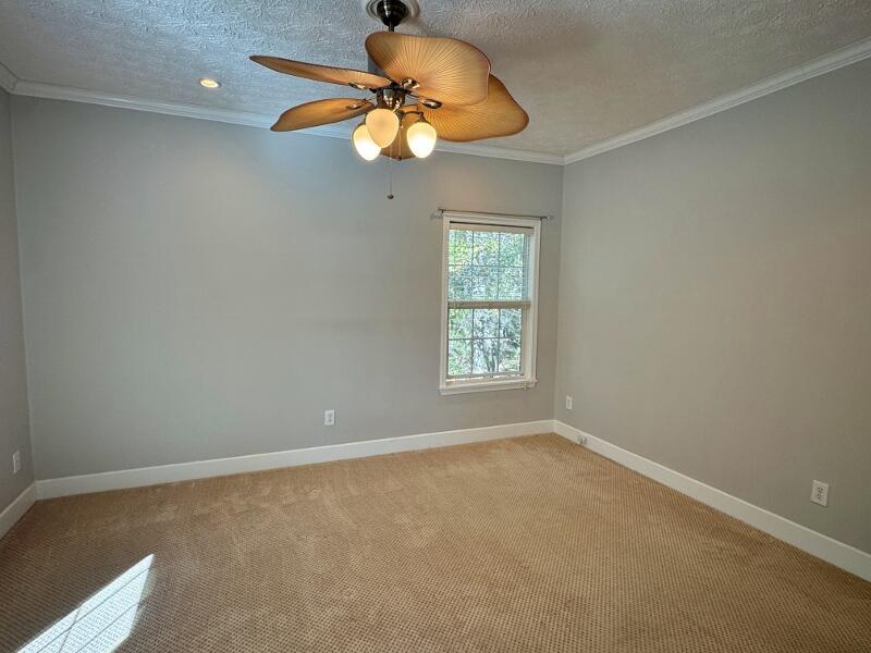 31 Palmetto Point Lane Edisto Island, SC 29438 - Photo 17 of 51 6g