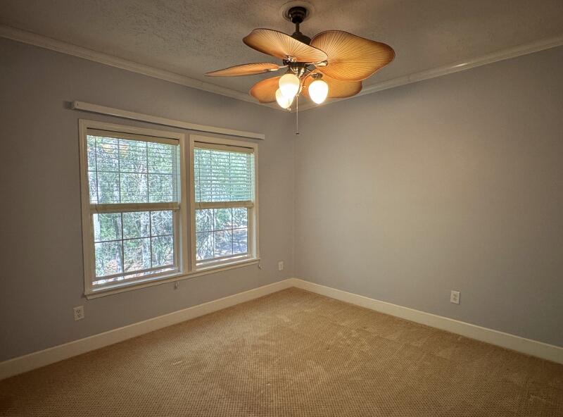 31 Palmetto Point Lane Edisto Island, SC 29438 - Photo 18 of 51 6i