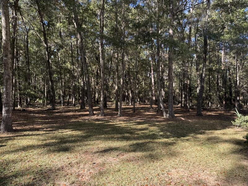 31 Palmetto Point Lane Edisto Island, SC 29438 - Photo 26 of 51 6n2