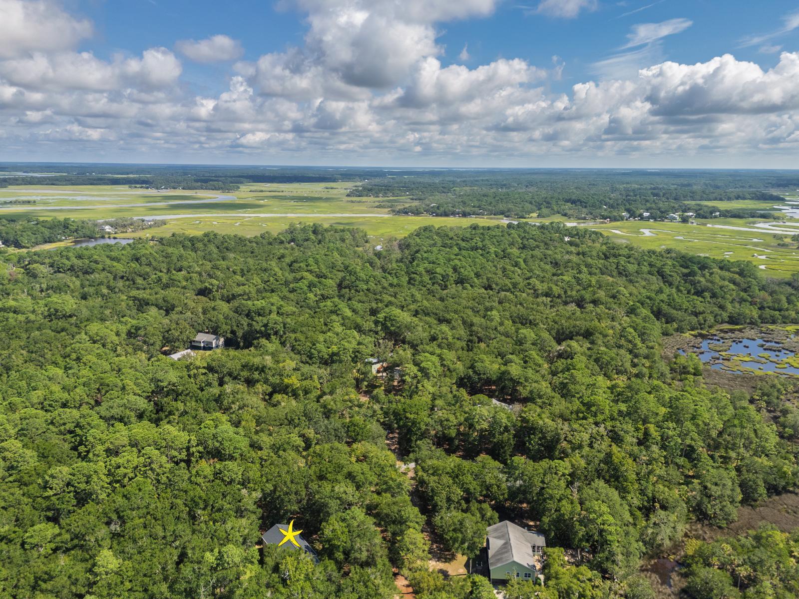 31 Palmetto Point Lane Edisto Island, SC 29438 - Photo 44 of 51 48