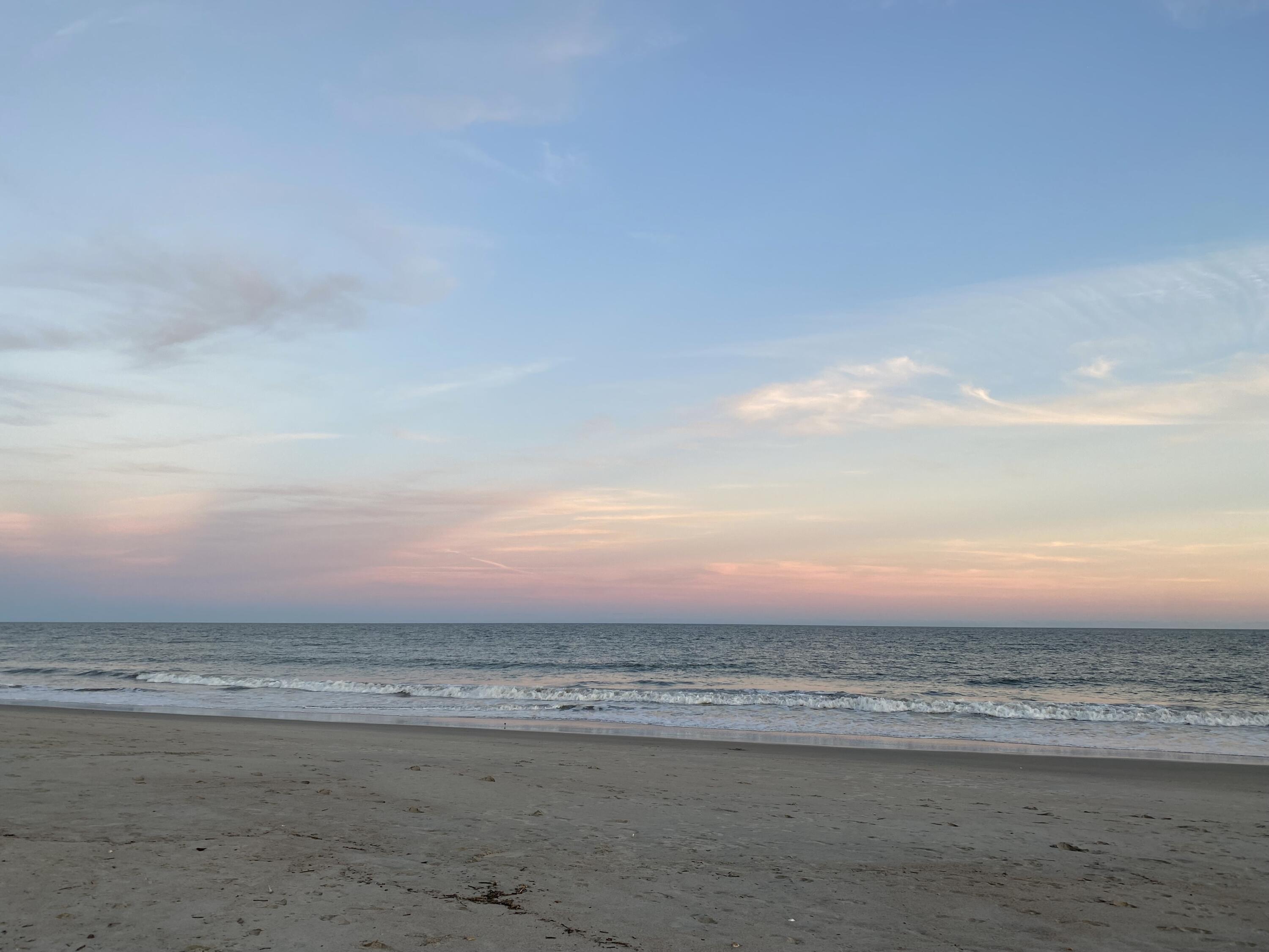 31 Palmetto Point Lane Edisto Island, SC 29438 - Photo 48 of 51 IMG_2843