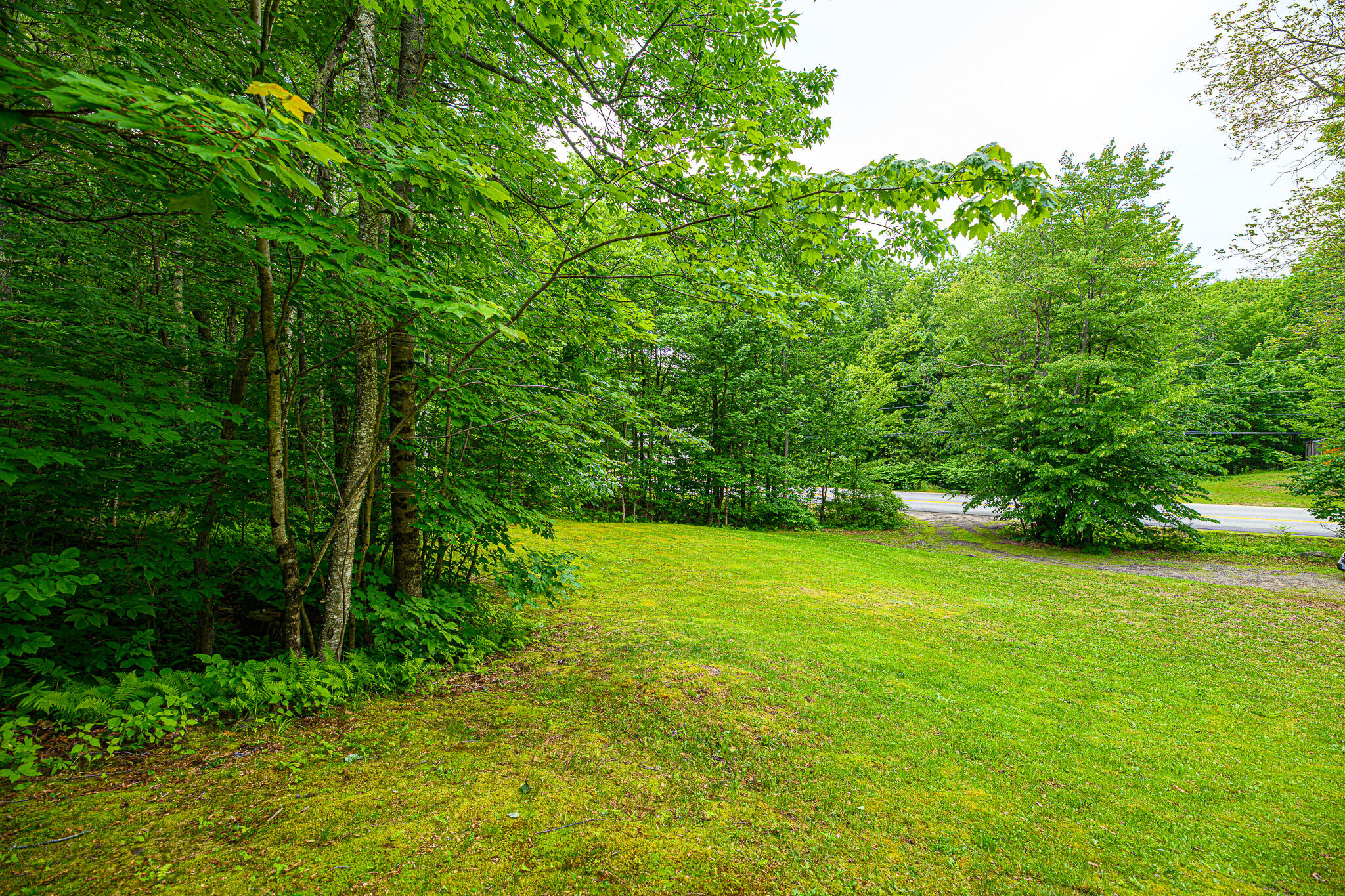 9 Dutton Hill Road Windham, ME 04062 - Photo 47 of 63 RSN_2701