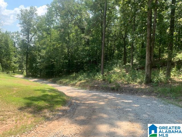 6927 Grey Hill Road West Blocton, AL 35184 - Photo 52 of 58