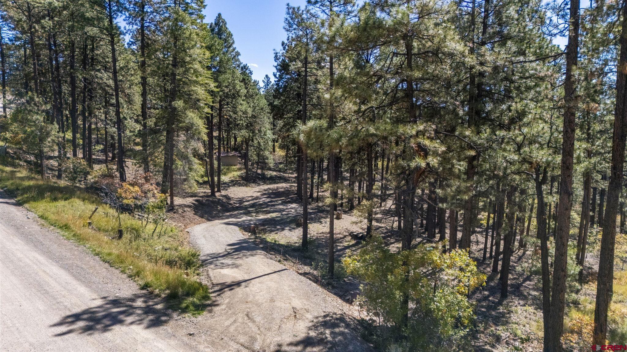 138 Green Ridge Drive Bayfield, CO 81122 - Photo 11 of 12 a view of backyard with wooden fence and large trees