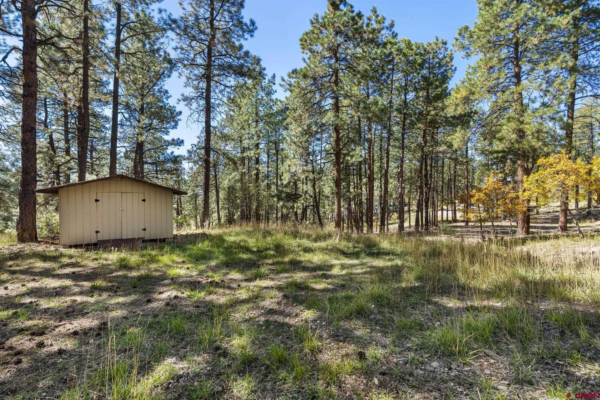 138 Green Ridge Drive Bayfield, CO 81122 - Photo 2 of 12 a backyard of a house with lots of green space