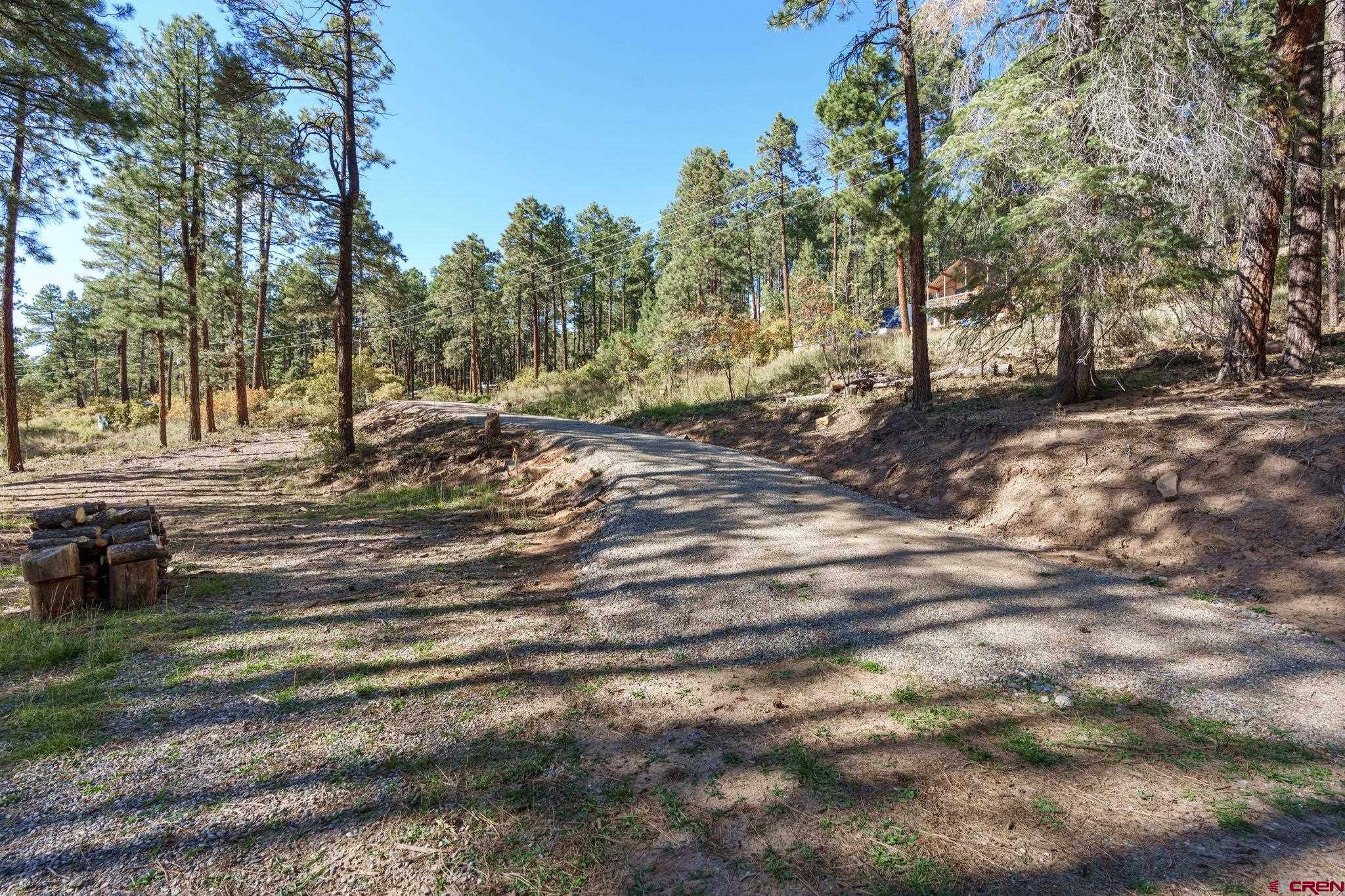 138 Green Ridge Drive Bayfield, CO 81122 - Photo 3 of 12 a view of a backyard with large trees